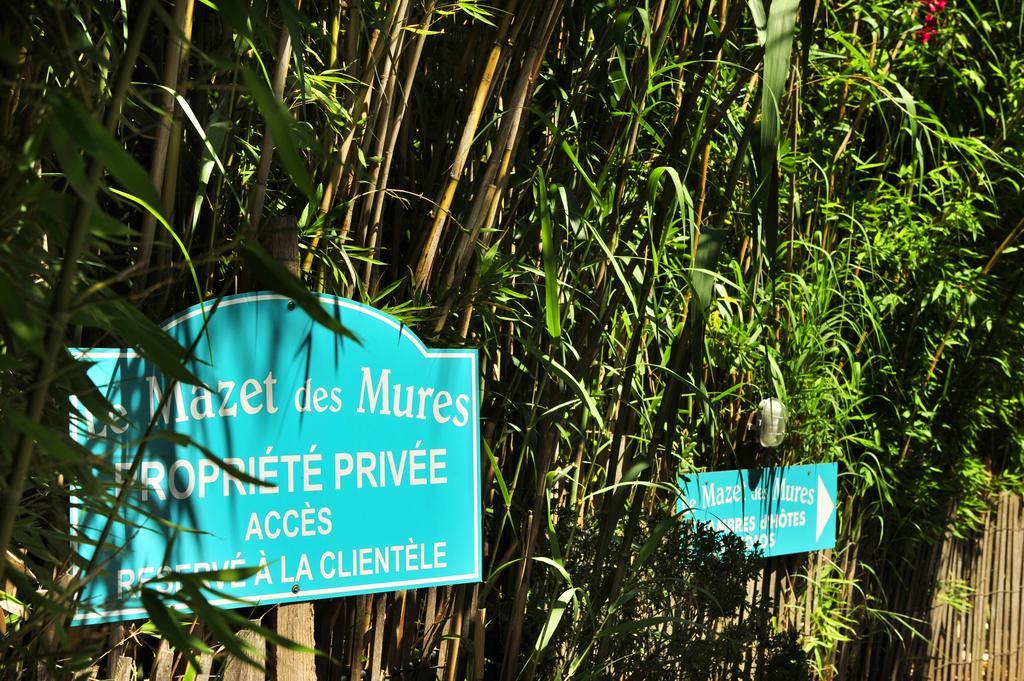 Le Mazet Des Mures Grimaud Exterior foto